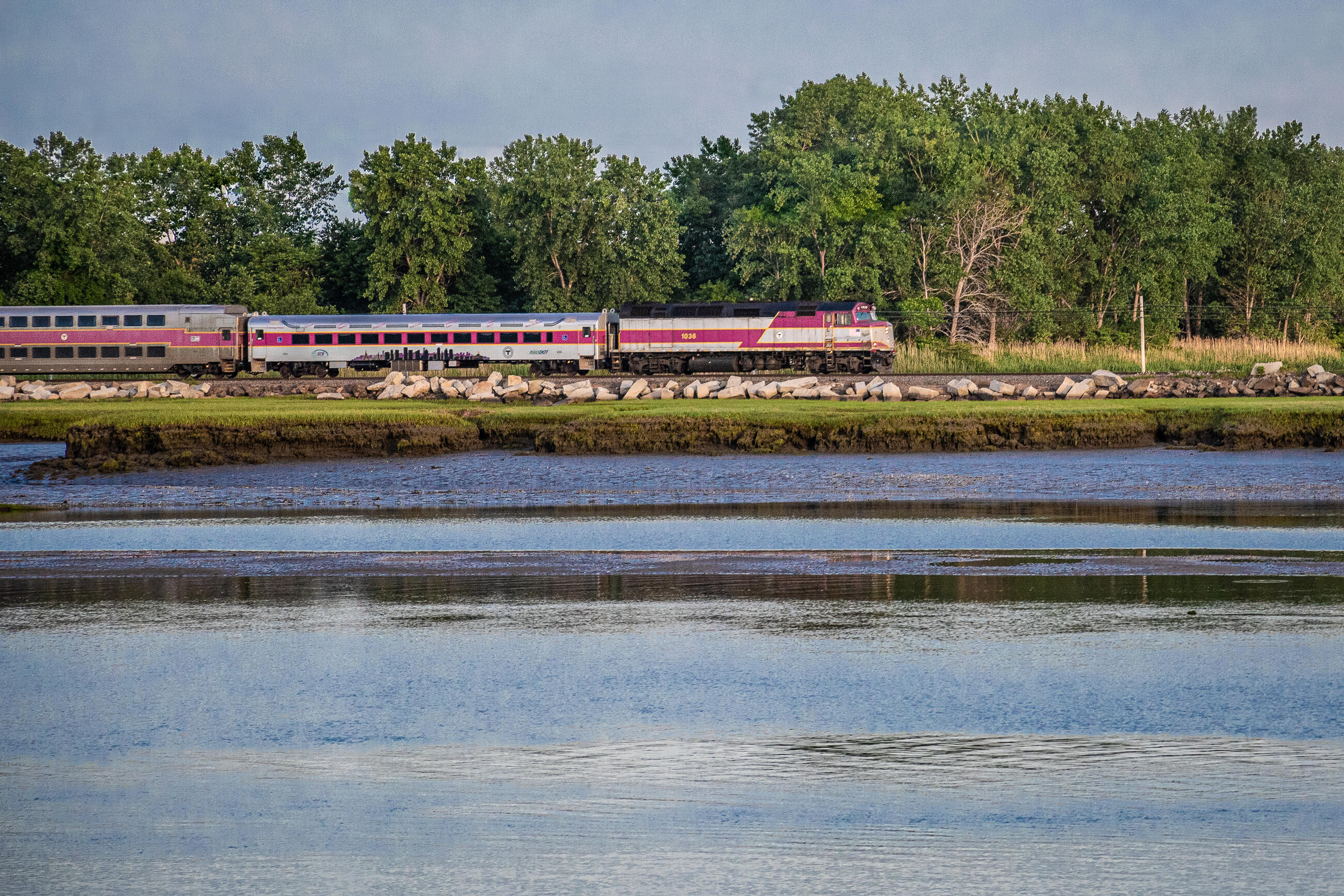 Commuter Rail passing by wetlands and waterways