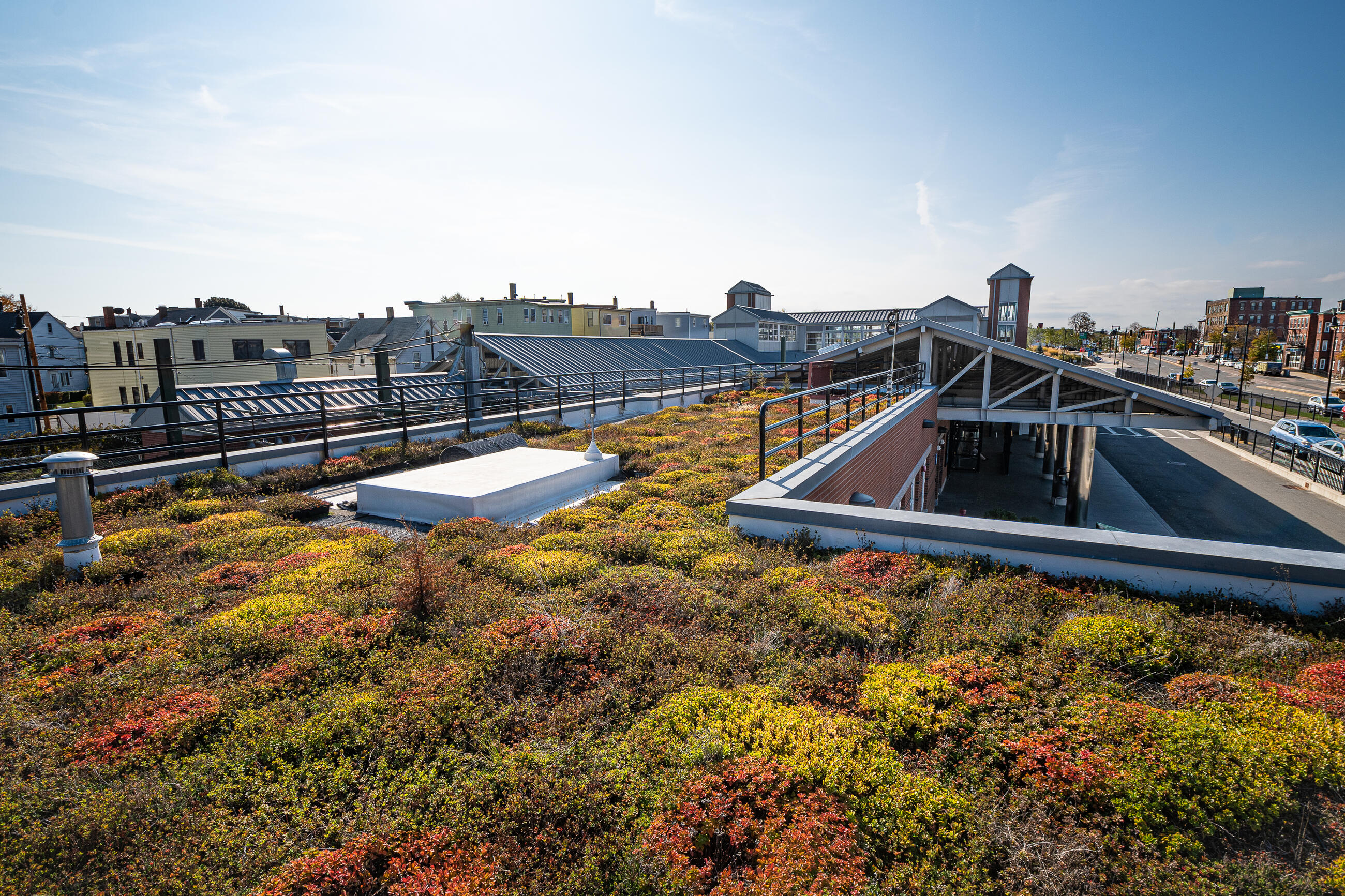 Green roof on Orient Heights Station reduces the amount of stormwater runoff entering the municipal storm system
