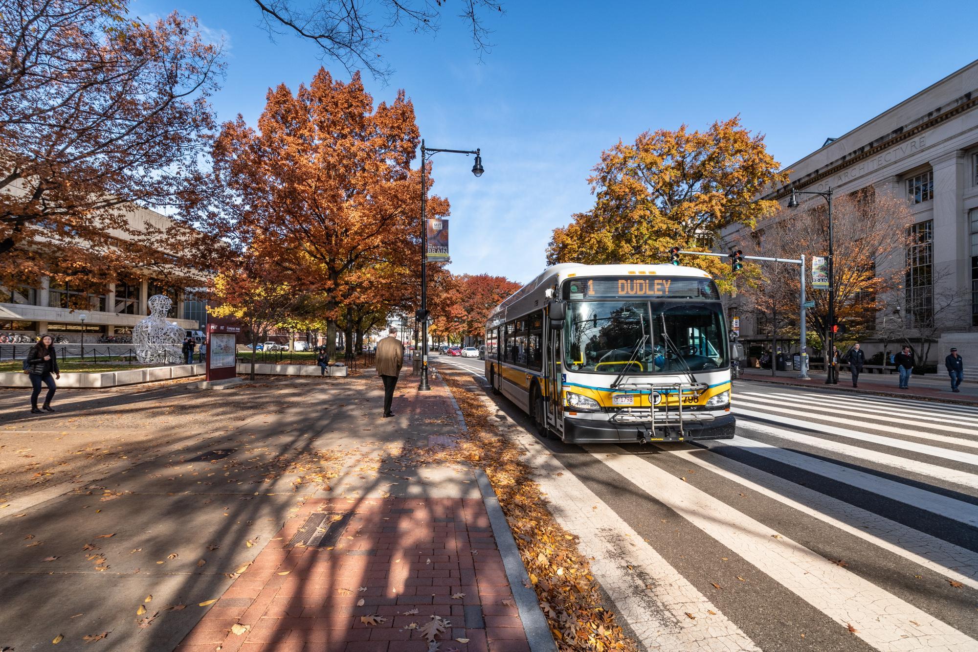 Route 1 bus on Massachusetts Avenue at the MIT crosswalk, with fall foliage in the background