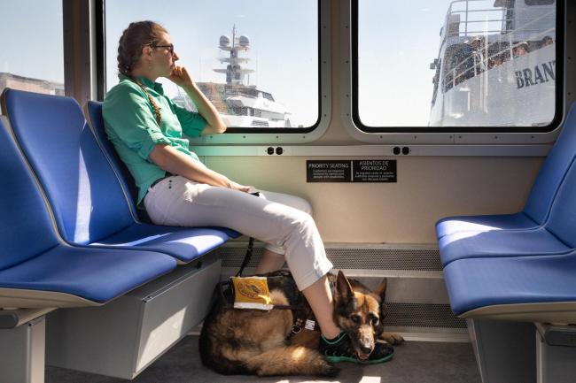 customer and guide dog in ferry priority seating